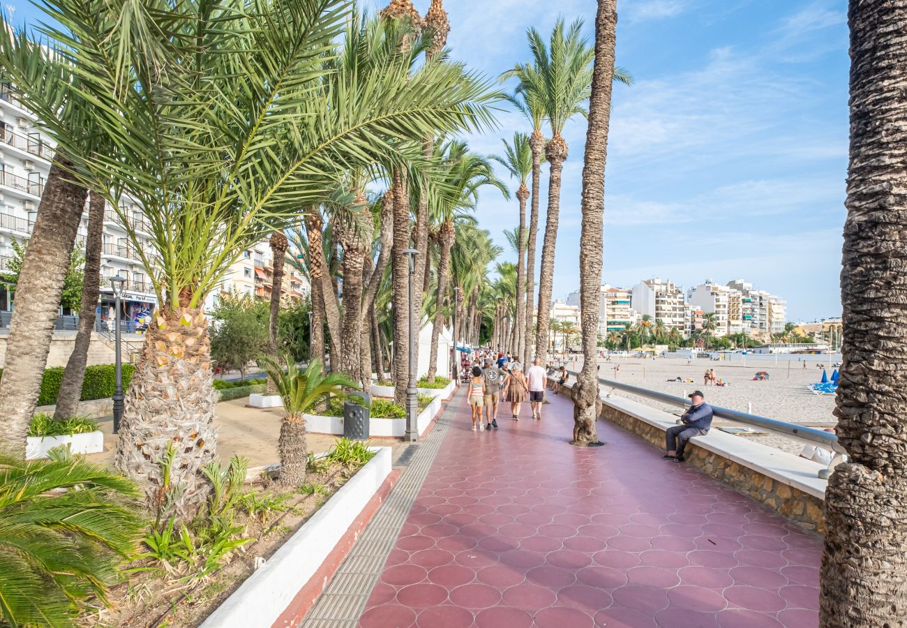 Aparthotel in Benidorm - Apartamentos La Rosita Old Town B-21 Aparthotel in Benidorm - Apartamentos La Rosita Old Town B-21