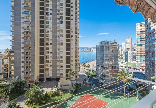 Appartement in Benidorm - Carabelas 3-61 Levante Beach Appartement in Benidorm - Carabelas 3-61 Levante Beach