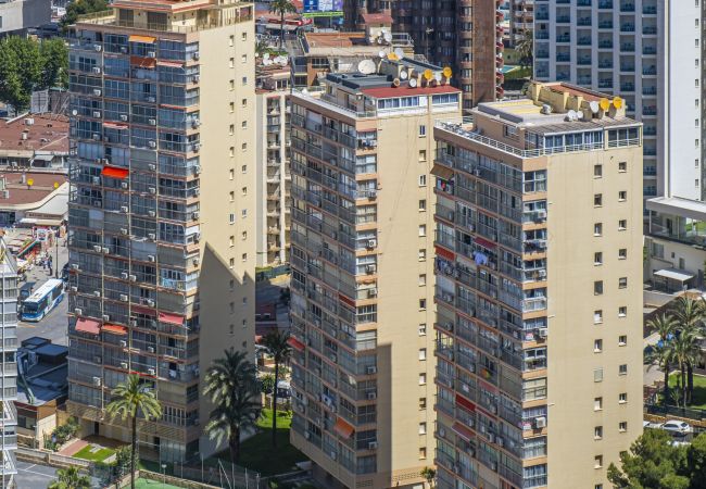 Appartement in Benidorm - Carabelas 3-61 Levante Beach Appartement in Benidorm - Carabelas 3-61 Levante Beach