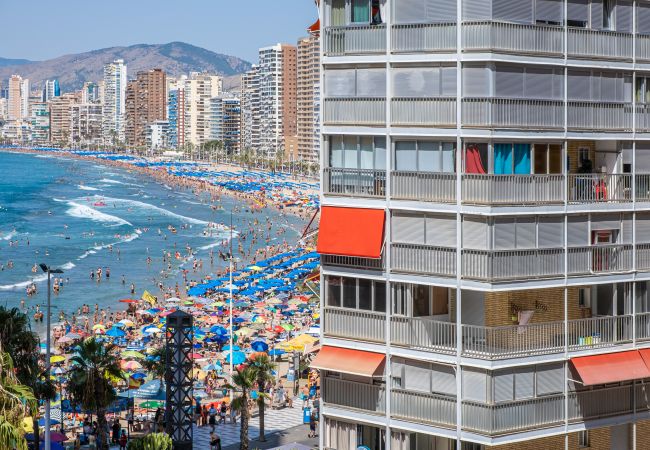 Appartement in Benidorm - Carabelas 3-61 Levante Beach Appartement in Benidorm - Carabelas 3-61 Levante Beach