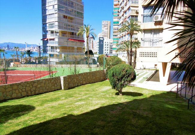 Appartement in Benidorm - Carabelas 3-61 Levante Beach Appartement in Benidorm - Carabelas 3-61 Levante Beach