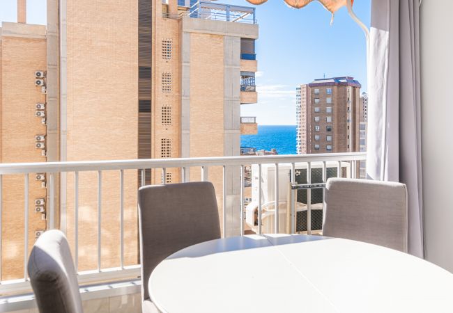 Appartement in Benidorm - Karola Apartment 12-C Levante Beach Appartement in Benidorm - Karola Apartment 12-C Levante Beach