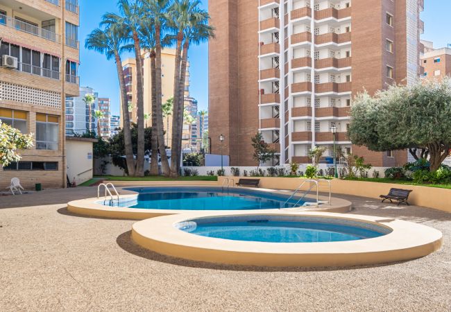 Appartement in Benidorm - Karola Apartment 12-C Levante Beach Appartement in Benidorm - Karola Apartment 12-C Levante Beach