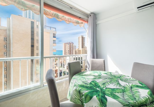 Appartement in Benidorm - Karola Apartment 12-C Levante Beach Appartement in Benidorm - Karola Apartment 12-C Levante Beach
