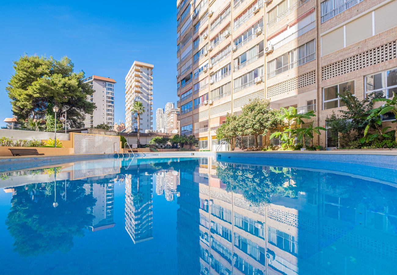 Appartement in Benidorm - Karola Apartment 12-C Levante Beach