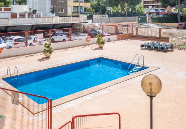 Appartement in Benidorm - Loix Mar Apartment 1-C Levante Beach Appartement in Benidorm - Loix Mar Apartment 1-C Levante Beach