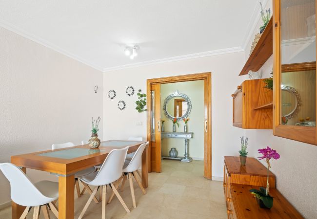 Appartement in Benidorm - Don Miguel Apartment 8-C Levante Beach Appartement in Benidorm - Don Miguel Apartment 8-C Levante Beach