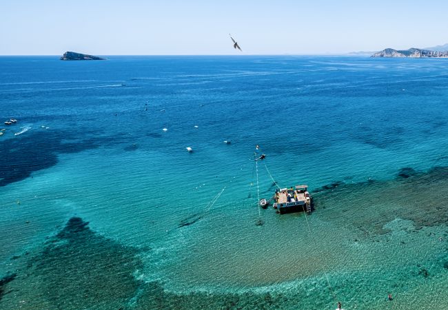 Appartement in Benidorm - Don Miguel Apartment 8-C Levante Beach Appartement in Benidorm - Don Miguel Apartment 8-C Levante Beach