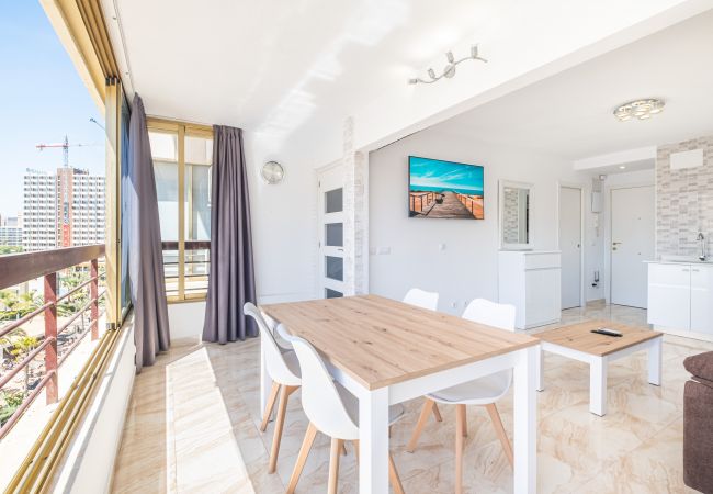 Appartement in Benidorm - Acuarium II 5-B Apartment Levante Beach Appartement in Benidorm - Acuarium II 5-B Apartment Levante Beach