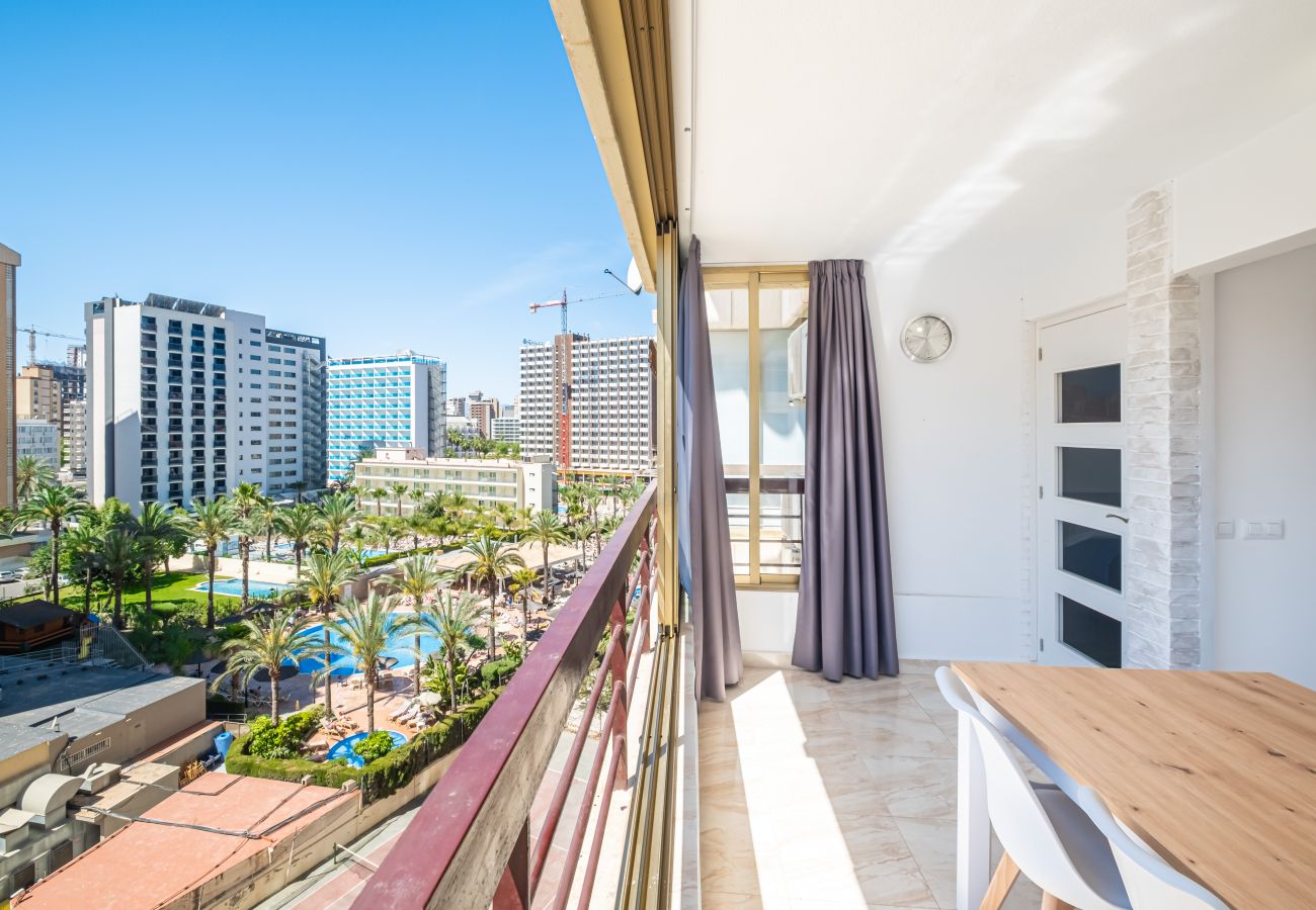 Appartement in Benidorm - Acuarium II 5-B Apartment Levante Beach Appartement in Benidorm - Acuarium II 5-B Apartment Levante Beach