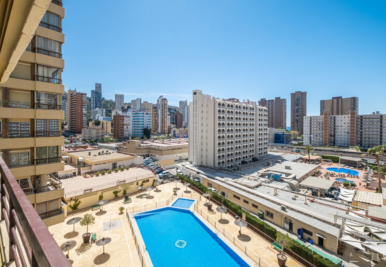 Appartement in Benidorm - Acuarium II 5-B Apartment Levante Beach Appartement in Benidorm - Acuarium II 5-B Apartment Levante Beach