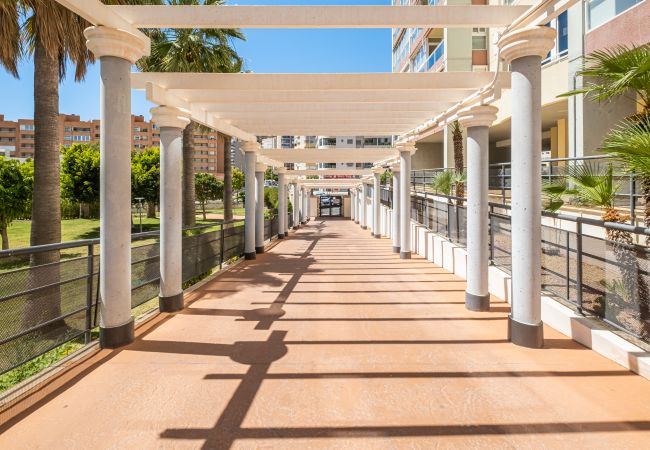 Appartement in Villajoyosa - Cala Palmera 10-C Apartment Playa La Cala Beach Appartement in Villajoyosa - Cala Palmera 10-C Apartment Playa La Cala Beach