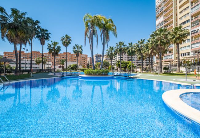 Appartement in Villajoyosa - Cala Palmera 10-C Apartment Playa La Cala Beach Appartement in Villajoyosa - Cala Palmera 10-C Apartment Playa La Cala Beach