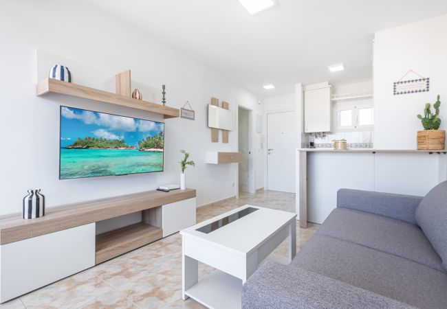 Appartement in Benidorm - Acuarium II 14-C Apartment Levante Beach Appartement in Benidorm - Acuarium II 14-C Apartment Levante Beach