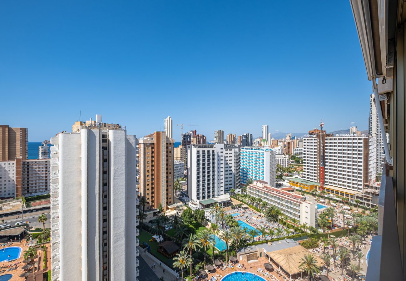 Appartement in Benidorm - Acuarium II 14-C Apartment Levante Beach Appartement in Benidorm - Acuarium II 14-C Apartment Levante Beach