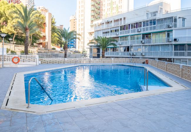 Appartement in Benidorm - Halcon Deluxe 7-B Apartment Levante Beach Appartement in Benidorm - Halcon Deluxe 7-B Apartment Levante Beach