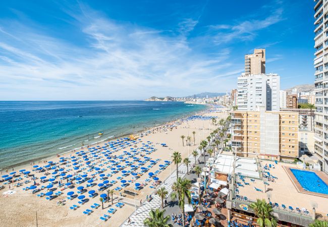 Appartement in Benidorm - Torre Yago Apartment 10-3 Levante Beach Appartement in Benidorm - Torre Yago Apartment 10-3 Levante Beach
