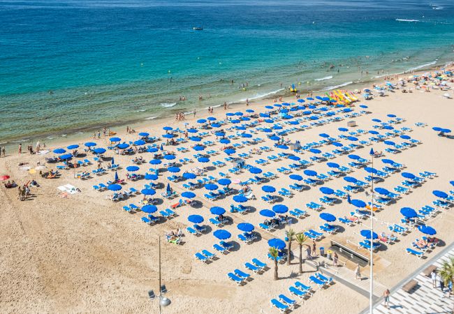 Appartement in Benidorm - Torre Yago Apartment 10-3 Levante Beach Appartement in Benidorm - Torre Yago Apartment 10-3 Levante Beach