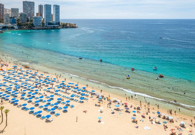 Appartement in Benidorm - Torre Yago Apartment 15-2 Levante Beach Appartement in Benidorm - Torre Yago Apartment 15-2 Levante Beach
