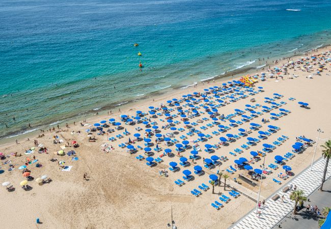 Appartement in Benidorm - Torre Yago Apartment 15-2 Levante Beach Appartement in Benidorm - Torre Yago Apartment 15-2 Levante Beach