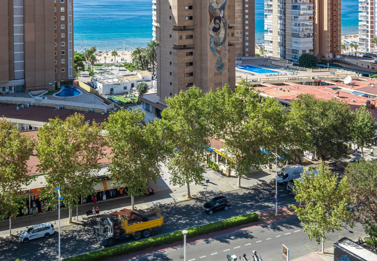 Studio in Benidorm - Albatros 13-8 Estudio Levante Beach Studio in Benidorm - Albatros 13-8 Estudio Levante Beach