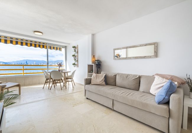 Appartement in Benidorm - Don Miguel Apartment 9-C Levante Beach Appartement in Benidorm - Don Miguel Apartment 9-C Levante Beach