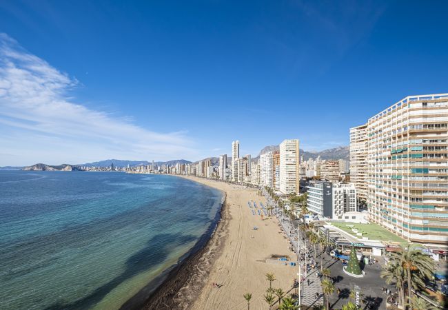 Appartement in Benidorm - Don Miguel Apartment 9-C Levante Beach Appartement in Benidorm - Don Miguel Apartment 9-C Levante Beach