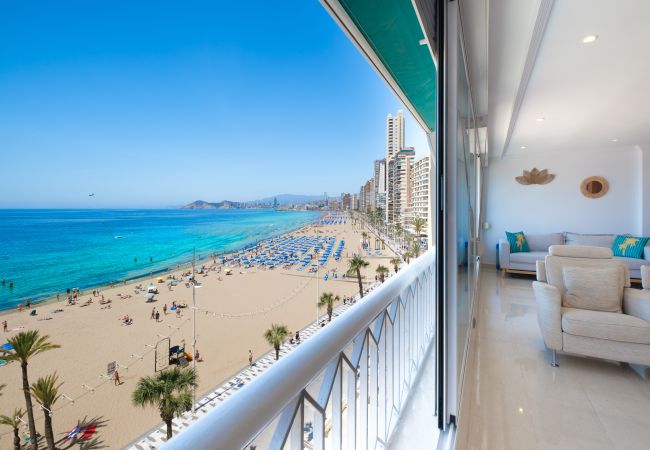 Appartement in Benidorm - Torre Principado 5-E Apartment Levante Beach Appartement in Benidorm - Torre Principado 5-E Apartment Levante Beach
