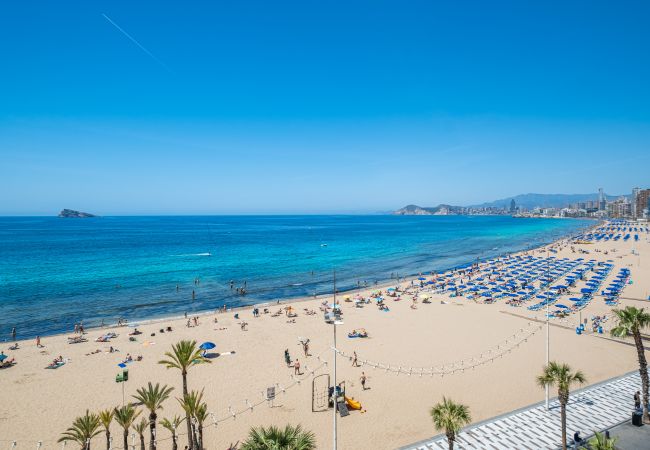 Appartement in Benidorm - Torre Principado 5-E Apartment Levante Beach Appartement in Benidorm - Torre Principado 5-E Apartment Levante Beach