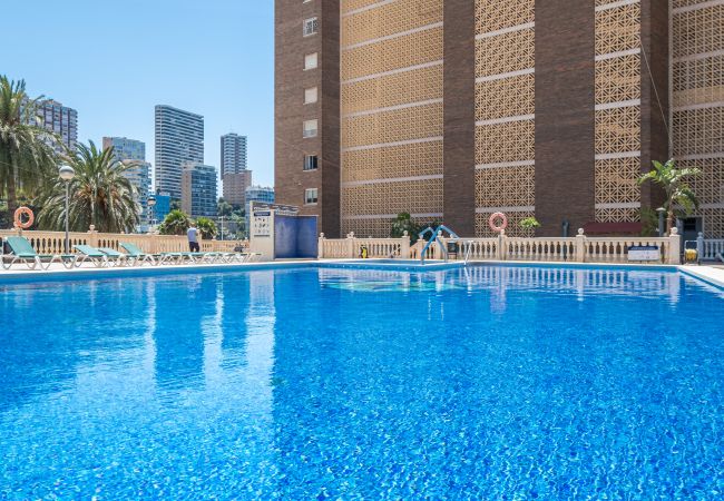 Appartement in Benidorm - Torre Principado 5-E Apartment Levante Beach Appartement in Benidorm - Torre Principado 5-E Apartment Levante Beach