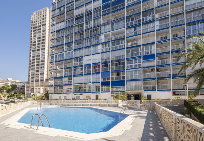 Appartement in Benidorm - Halcon Deluxe 17-C Apartment Levante Beach Appartement in Benidorm - Halcon Deluxe 17-C Apartment Levante Beach