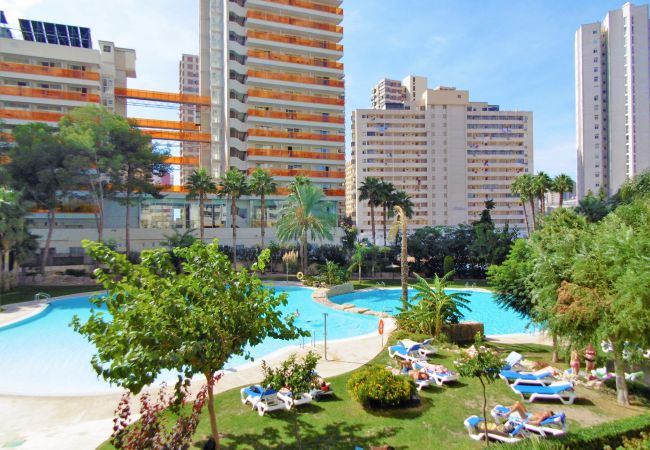 Apartment in Benidorm -  Gemelos 22 Resort Apartment 2-15-B Levante Beach Apartment in Benidorm -  Gemelos 22 Resort Apartment 2-15-B Levante Beach