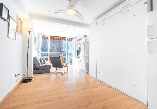 Studio in Benidorm - Albatros 2-6 Estudio Levante Beach Studio in Benidorm - Albatros 2-6 Estudio Levante Beach