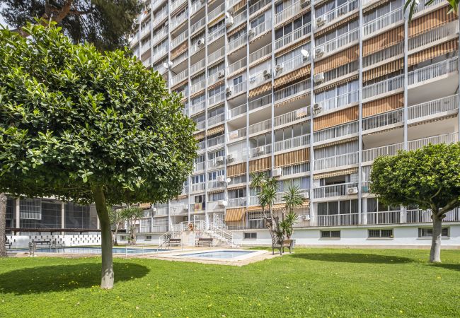 Studio in Benidorm - Albatros 2-6 Estudio Levante Beach Studio in Benidorm - Albatros 2-6 Estudio Levante Beach