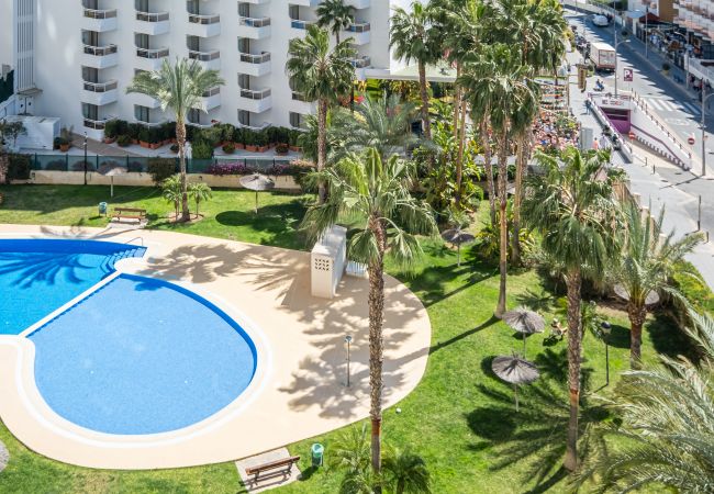 Apartment in Benidorm -  Gemelos 26-6-B Resort Apartment Levante Beach Apartment in Benidorm -  Gemelos 26-6-B Resort Apartment Levante Beach