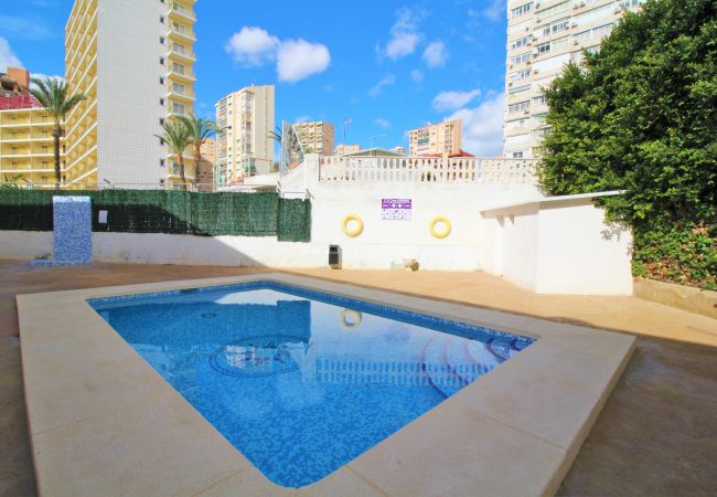 Apartment in Benidorm - Lepanto 21 Apartment Levante Area Apartment in Benidorm - Lepanto 21 Apartment Levante Area