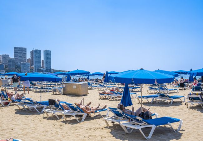 Apartment in Benidorm -  Los Ranchos 11 Apartment Levante Beach Apartment in Benidorm -  Los Ranchos 11 Apartment Levante Beach