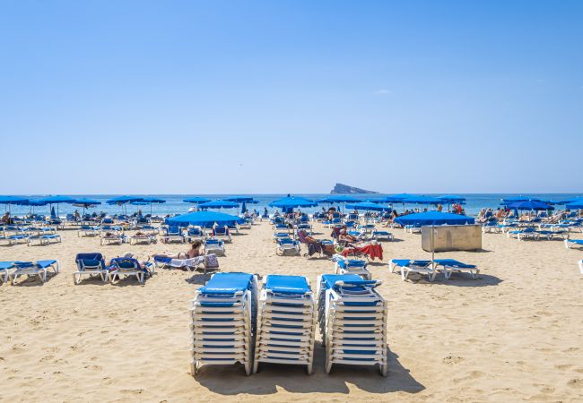 Apartment in Benidorm -  Los Ranchos 11 Apartment Levante Beach Apartment in Benidorm -  Los Ranchos 11 Apartment Levante Beach