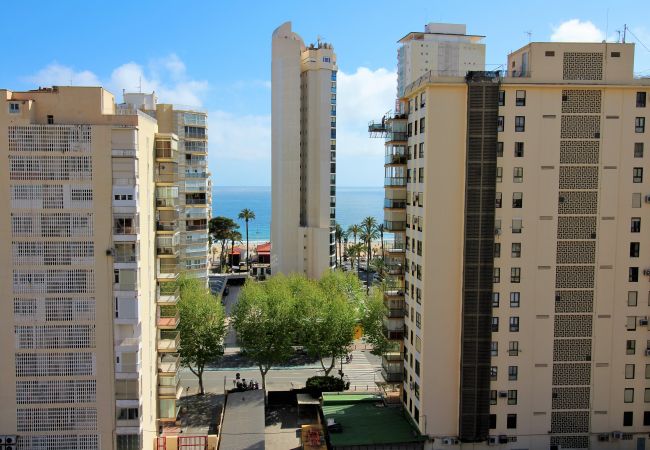 Apartment in Benidorm - Los Pinos 9B Apartment Levante Beach-Old Town Apartment in Benidorm - Los Pinos 9B Apartment Levante Beach-Old Town