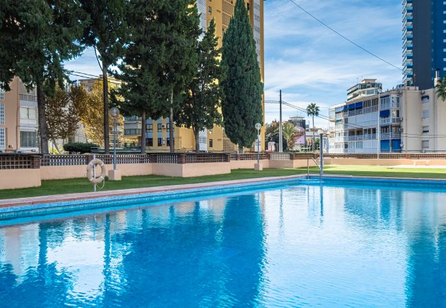 Apartment in Benidorm - Los Pinos 9B Apartment Levante Beach-Old Town Apartment in Benidorm - Los Pinos 9B Apartment Levante Beach-Old Town