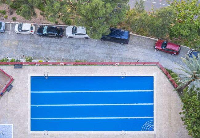 Apartment in Benidorm - Don Miguel 4-F Apartment Levante Beach Apartment in Benidorm - Don Miguel 4-F Apartment Levante Beach