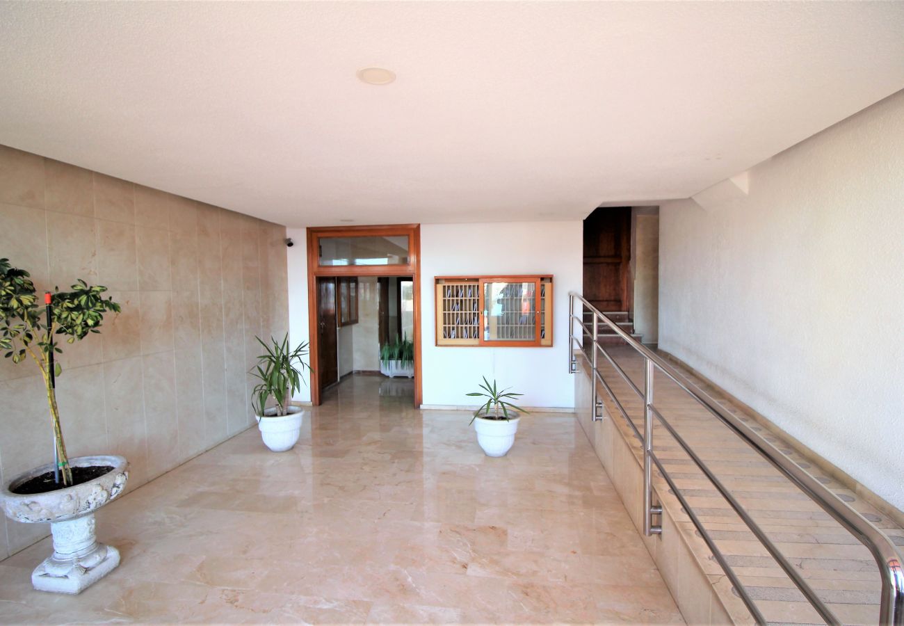 Apartment in Benidorm - Don Miguel 4-F Apartment Levante Beach Apartment in Benidorm - Don Miguel 4-F Apartment Levante Beach