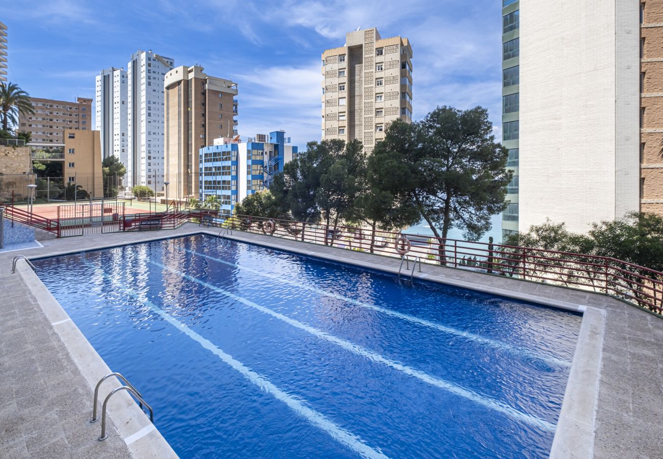 Apartment in Benidorm - Don Miguel 4-F Apartment Levante Beach Apartment in Benidorm - Don Miguel 4-F Apartment Levante Beach