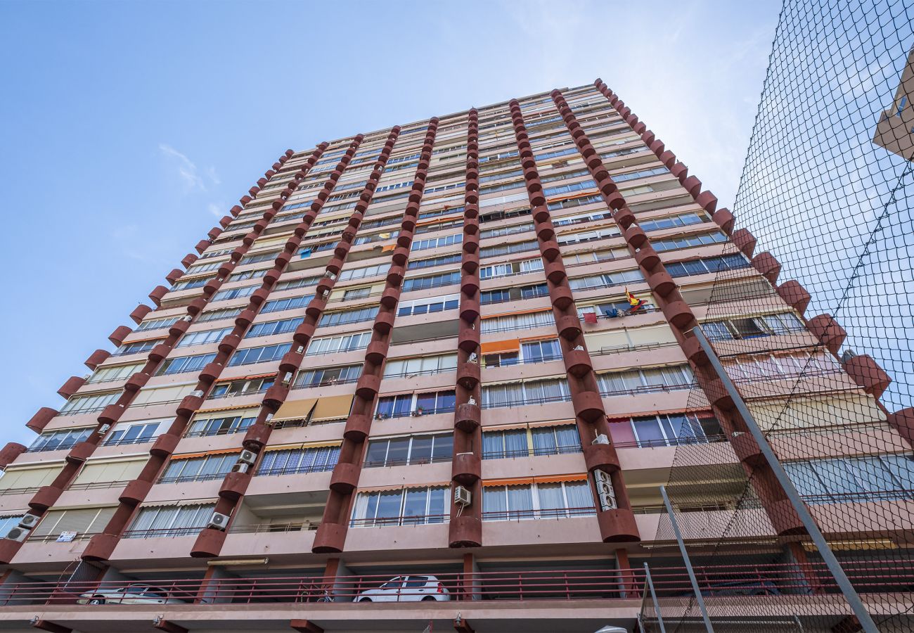 Apartment in Benidorm - Don Miguel 4-F Apartment Levante Beach Apartment in Benidorm - Don Miguel 4-F Apartment Levante Beach