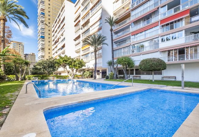 Apartment in Benidorm -  Edimar 2-3 Apartment Levante Beach Apartment in Benidorm -  Edimar 2-3 Apartment Levante Beach