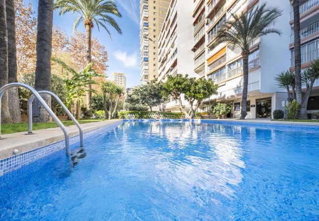 Apartment in Benidorm -  Edimar 2-3 Apartment Levante Beach Apartment in Benidorm -  Edimar 2-3 Apartment Levante Beach
