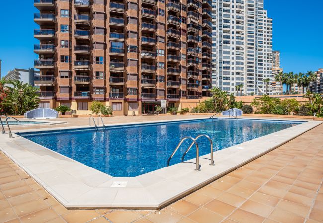 Apartment in Benidorm - Torre Mar 20-D Apartment Levante Beach Apartment in Benidorm - Torre Mar 20-D Apartment Levante Beach