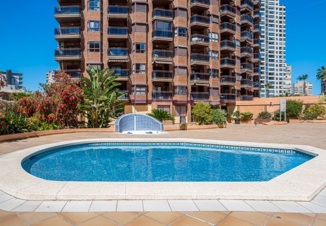 Apartment in Benidorm - Torre Mar 20-D Apartment Levante Beach Apartment in Benidorm - Torre Mar 20-D Apartment Levante Beach