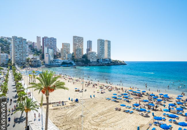 Apartment in Benidorm - Torre Mar 20-D Apartment Levante Beach Apartment in Benidorm - Torre Mar 20-D Apartment Levante Beach
