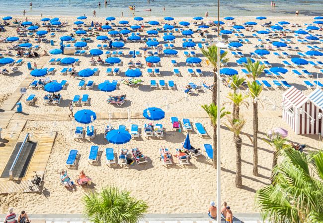 Apartment in Benidorm - Torre Mar 20-D Apartment Levante Beach Apartment in Benidorm - Torre Mar 20-D Apartment Levante Beach